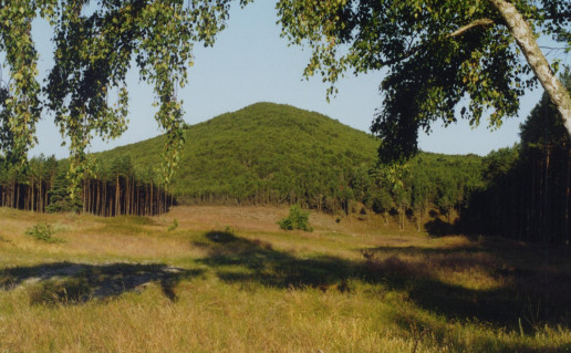 2_Vecekrugas dune_G.Grazulevicius.jpg